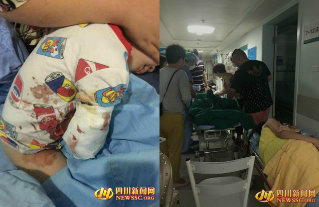 Em bé bị hổ tấn công. Ảnh: Shanghaiist