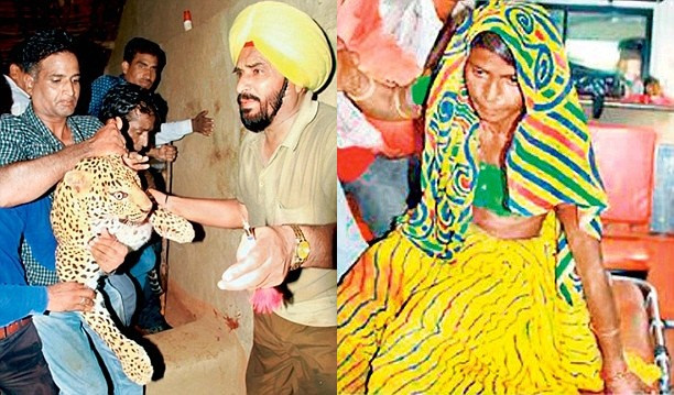 Người phụ nữ liều mình chiến đấu với báo gấm để cứu con