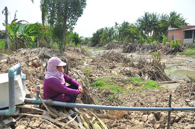 Người dân ở ĐBSCL quay cuồng với nỗi lo thiếu nước sinh hoạt và sản xuất