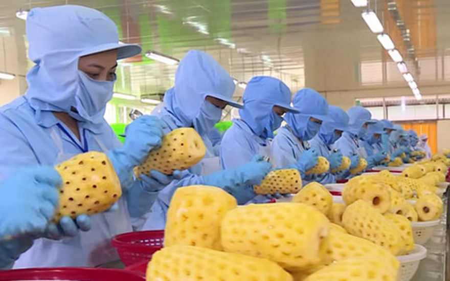 Theo dự báo, các loại trái cây chế biến là một trong những sản phẩm mà Trung Quốc có nhu cầu nhập nhiều thời gian tới. 