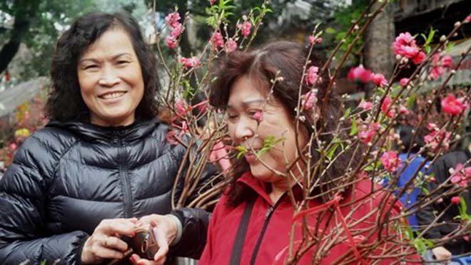 Đào mini gây 'sốt' ở Hà Nội