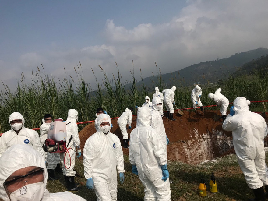 Diễn tập phòng và ngăn chặn bệnh dịch tả lợn châu Phi xâm nhiễm vào Việt Nam tại Lào Cai