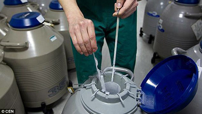 Phôi thai được đông lạnh trong bệnh viện ở Thượng Hải