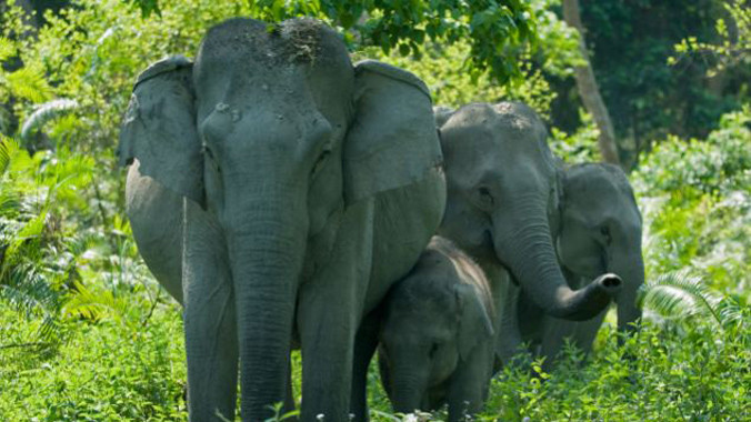 Ảnh minh họa. Nguồn: Dailymail