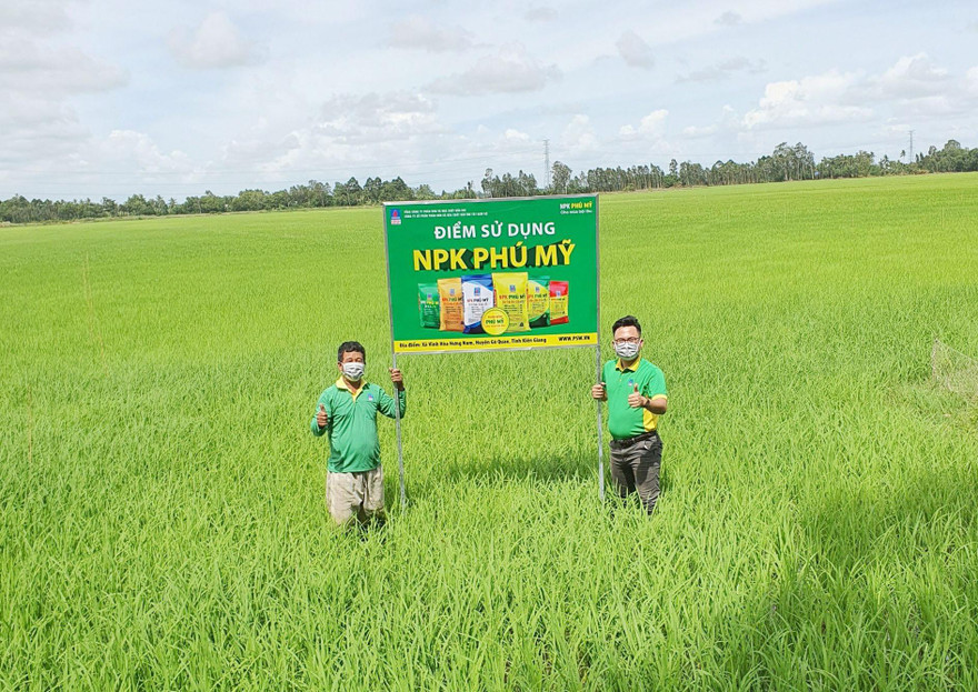 PVFCCo thường xuyên xây dựng các mô hình hướng dẫn bà con nông dân sử dụng phân bón an toàn, cân đối, hiệu quả