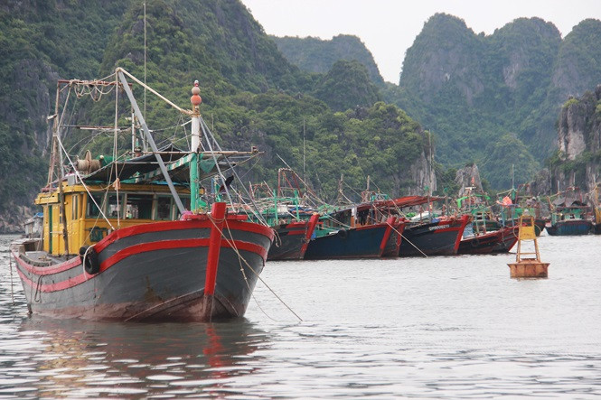 Nhiều địa phương đã cấm biển trong ngày 1/8