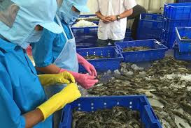 Trong 6 tháng đầu năm đã có 20 mặt hàng xuất khẩu của Việt Nam vượt ngưỡng tỷ đô