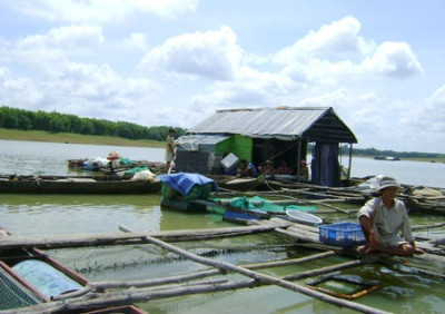 Bè cá trên sông. Ảnh minh họa
