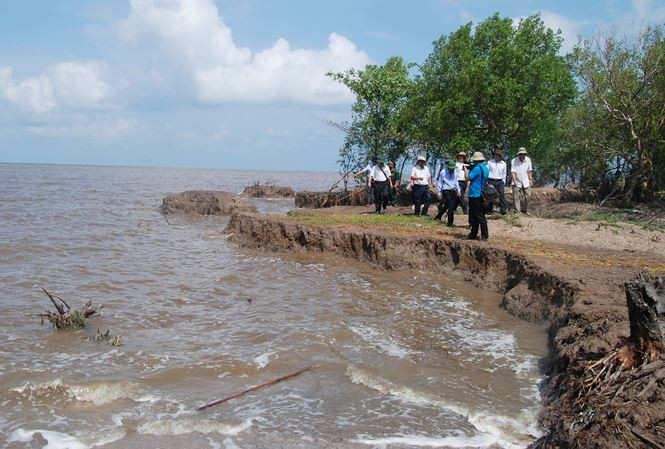 Báo động nhiều điểm sạt lở ở Cà Mau