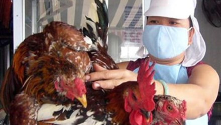 Bãi bỏ nhiều khoản phí, lệ phí trong lĩnh vực thú ý