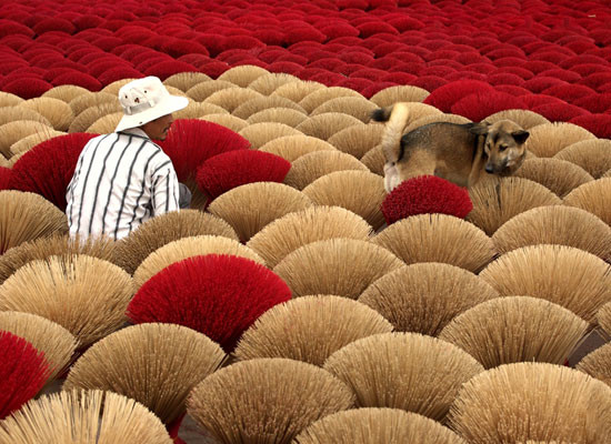 Xuất khẩu hương nhang mang về gần 1.800 tỷ đồng mỗi năm cho các doanh nghiệp Việt