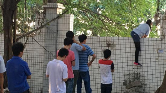 Các nhân viên của khu công nghiệp phải trèo tường đi làm suốt 2 năm qua