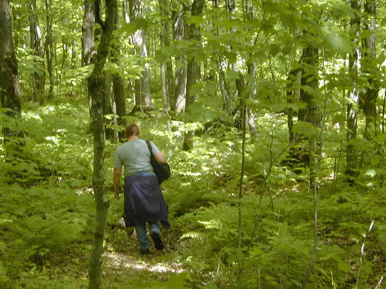 Làm thế nào để sống sót nếu bị lạc trong rừng?