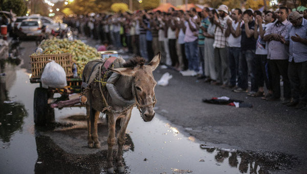 IS dùng lừa để tấn công khủng bố.