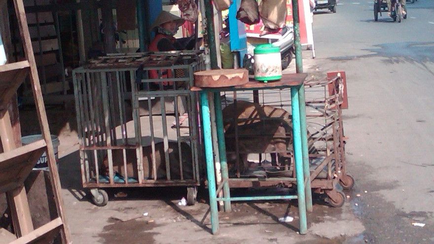 Heo thượng được bán dọc đường.