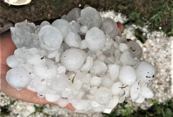 Mưa đá liên tiếp đã khiến hơn 10.300 nhà dân ở các tỉnh miền núi phía Bắc bị tốc mái, thủng mái