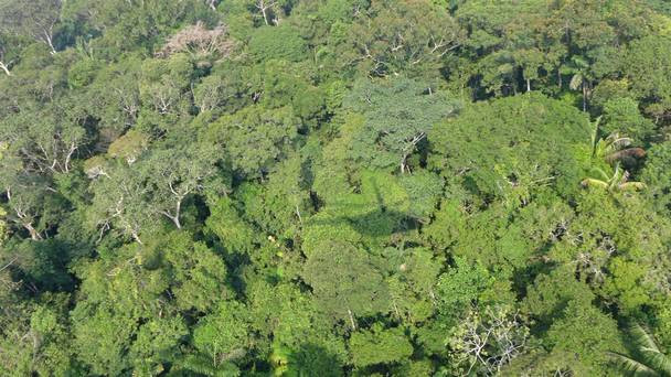 Chiếc trực thăng quân sự của Venezuela mất tích trong rừng rậm Amazon