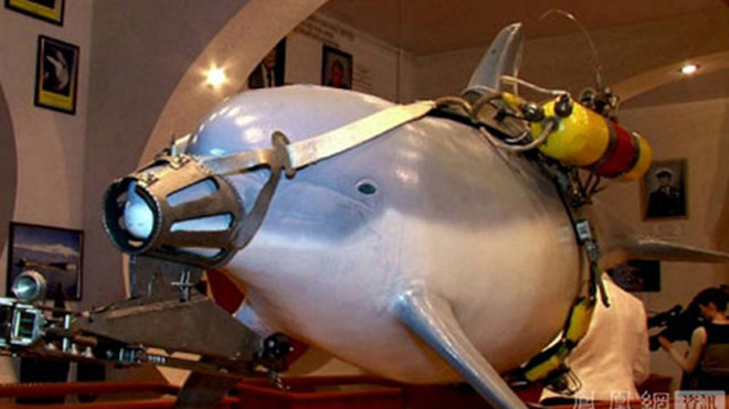 Tổng thống Putin chỉ huy lực lượng đặc nhiệm cá heo Crimea