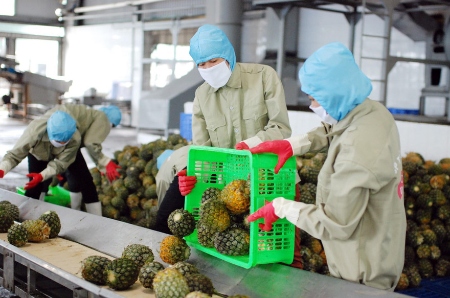 Tăng trưởng của Việt Nam được dự báo tích cực trong năm 2022 với dự đoán 7,5%