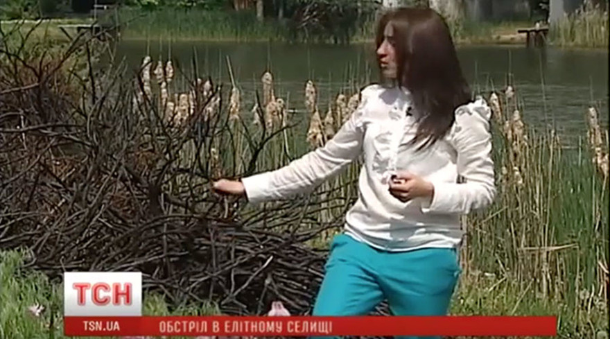 Hình ảnh bụi cây bị cháy rụi trên truyền hình TSN