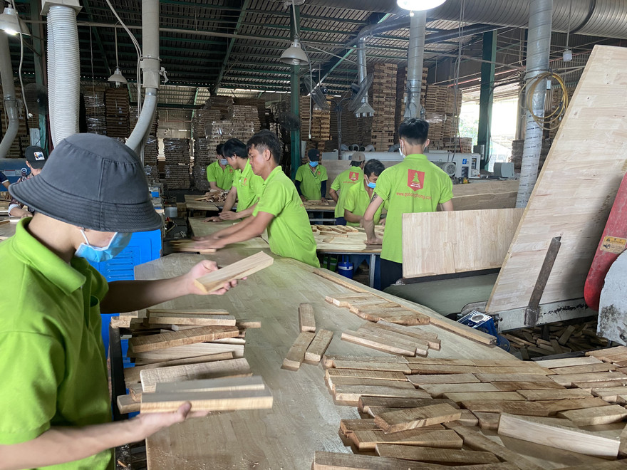 Bộ NN&PTNT cho rằng, việc Tổng cục Hải quan áp dụng mã hàng hóa của ván ghép thanh theo mã HS 4407 là không phù hợp với Thông tư 65 cũng như ý kiến của Bộ Tài chính tại Văn bản số 9365/BTC ngày 01/7/2009