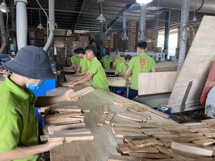 Bộ NN&PTNT cho rằng, việc Tổng cục Hải quan áp dụng mã hàng hóa của ván ghép thanh theo mã HS 4407 là không phù hợp với Thông tư 65 cũng như ý kiến của Bộ Tài chính tại Văn bản số 9365/BTC ngày 01/7/2009