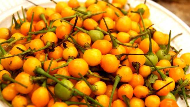 Loại ớt charapita đắt nhất thế giới