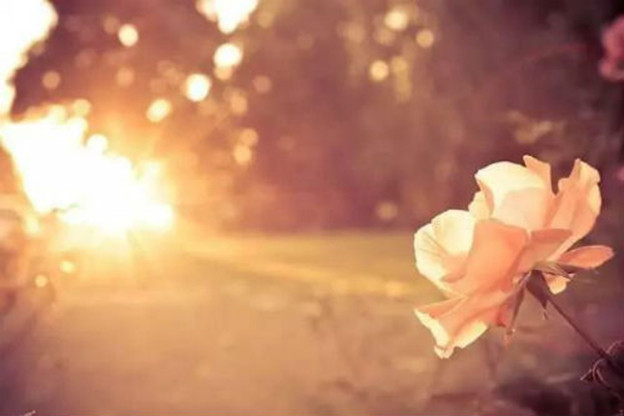 Thứ Tư của bạn: Kim Ngưu nhìn xa trông rộng, Bảo Bình tình yêu lãng mạn