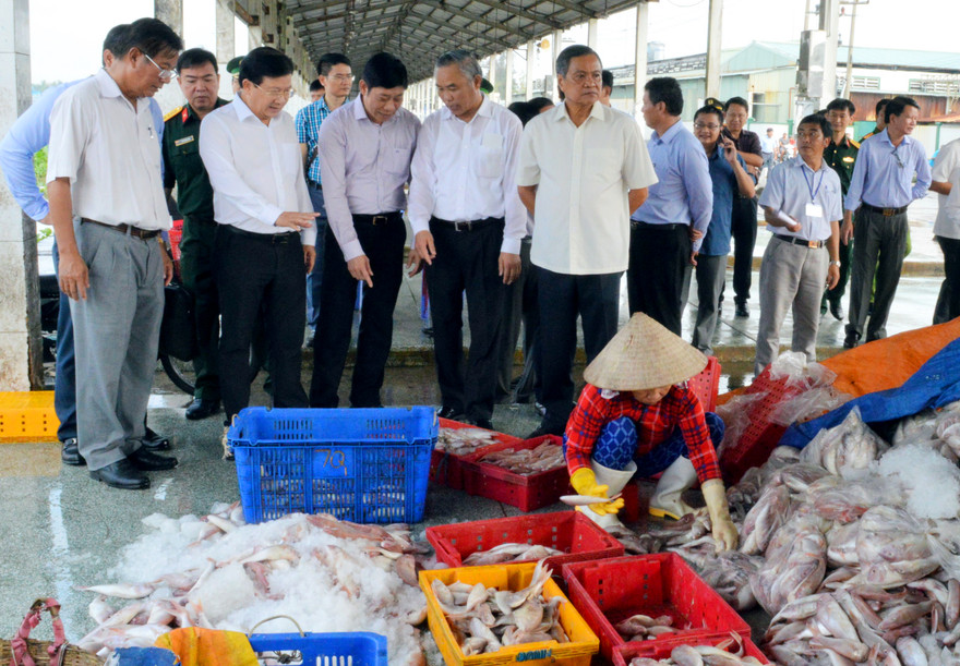 Đoàn công tác Chính phủ do Phó Thủ tướng Trịnh Đình Dũng - Trưởng Ban chỉ đạo Quốc gia về chống khai thác IUU làm Trưởng đoàn, đã đến kiểm tra việc thực hiện chống khai thác IUU trên địa bàn tỉnh Kiên Giang.