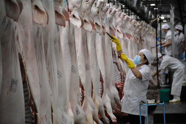 Bộ NN&PTNT sẽ thành lập tổ công tác hỗ trợ triển khai dự án chuỗi chăn nuôi, giết mổ, chế biết thịt lợn của Masan tại Hà Nam