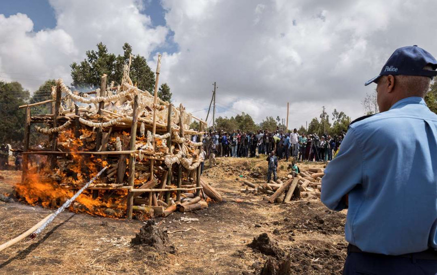 6,1 tấn ngà voi bị tiêu hủy.