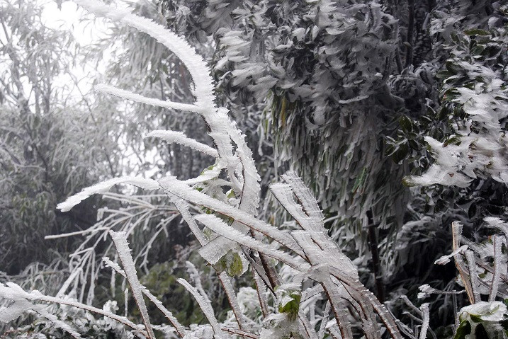 Các vùng núi cao như Sa Pa, Mẫu Sơn, Phan Xi Păng khả năng xuất hiện băng giá trong đợt rét này.