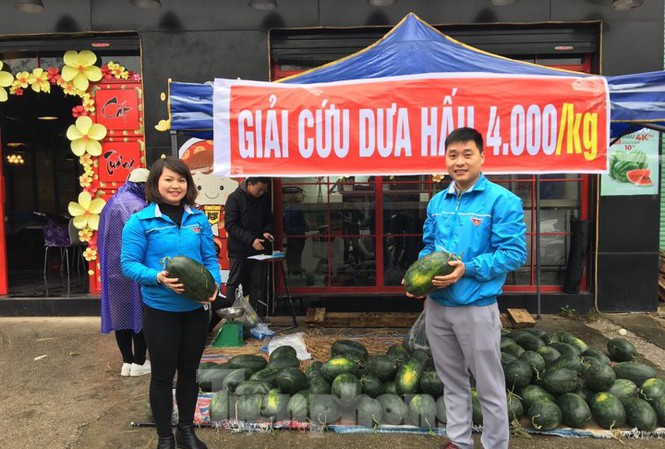 Đại diện nhiều siêu thị cho hay, đã tiếp nhận được thông tin từ nhiều doanh nghiệp về việc không cần giải cứu thanh long, dưa hấu nữa