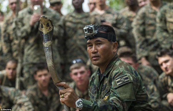 Lính Mỹ luyện uống máu rắn hổ mang