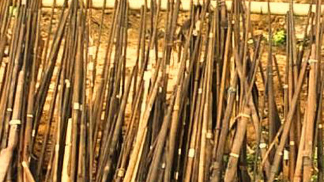 Tiêu hủy gần nghìn khẩu súng tự chế