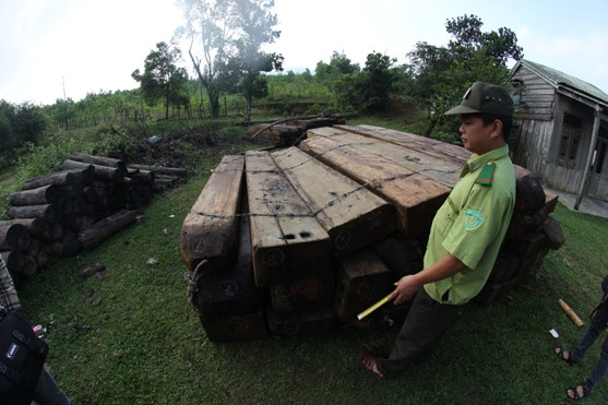 Hàng chục khối gỗ tang vật tập kết ở trạm dốc Kiền (Ảnh: Nam Cường)