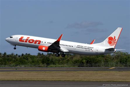 Một máy bay của Lion Air.