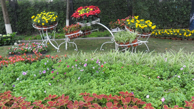 Mãn nhãn đường hoa Lê Lợi rực rỡ sắc màu