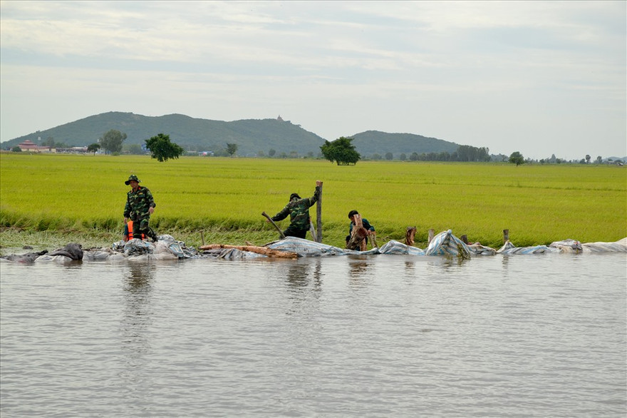 Ban đạo Trung ương về Phòng chống thiên tai yêu cầu các tỉnh ĐBSCL đảm bảo an toàn cho hạ du khi mở cửa đập xả lũ