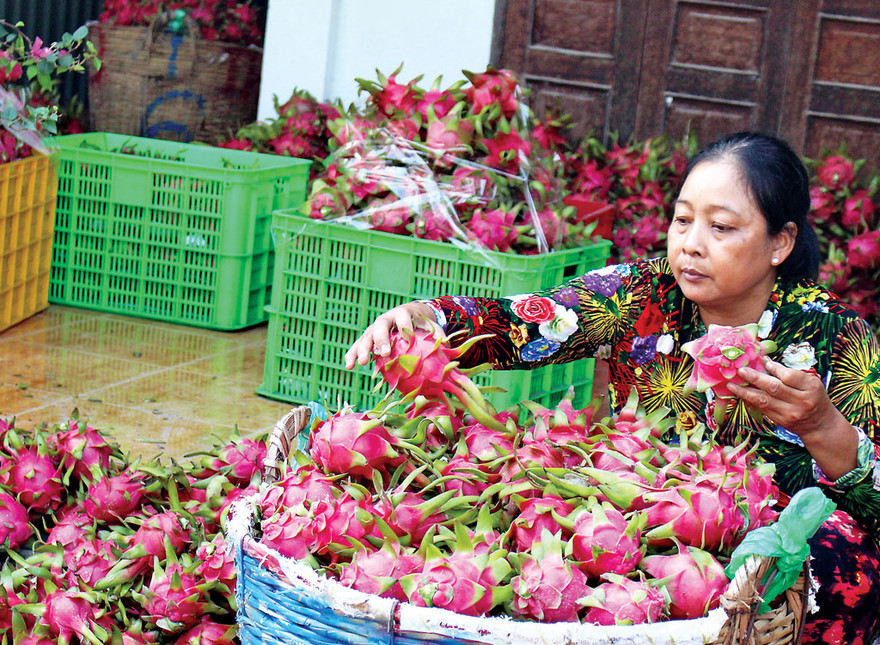 Dù được kỳ vọng, nhưng xuất khẩu mặt hàng trái cây năm 2019 có kim ngạch tụt giảm