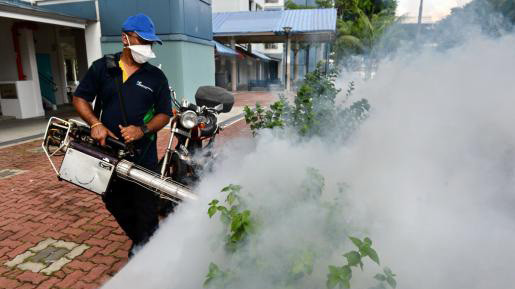 Nhân viên kiểm soát dịch bệnh phun thuốc diệt muỗi ở Bedok North, Singapore