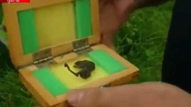 Sinh vật lạ được tìm thấy gần một nhà máy điện nguyên tử của Nga