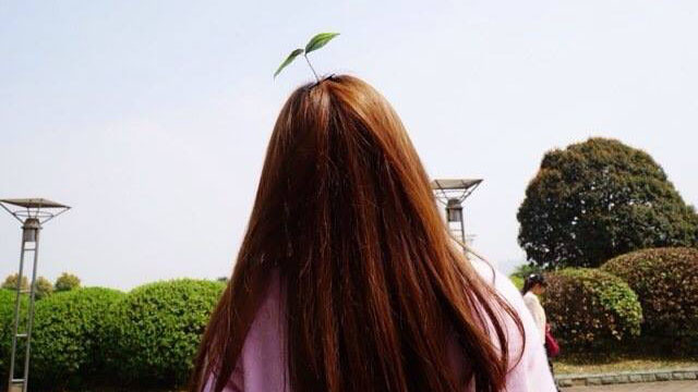 Mầm cây xinh xinh mọc trên đỉnh đầu thiếu nữ 