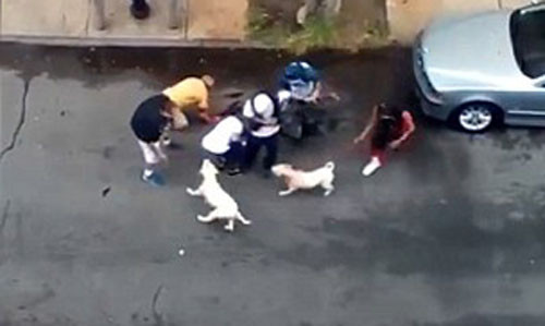 Người dân giải cứu hai người đàn ông khỏi những con chó dữ.