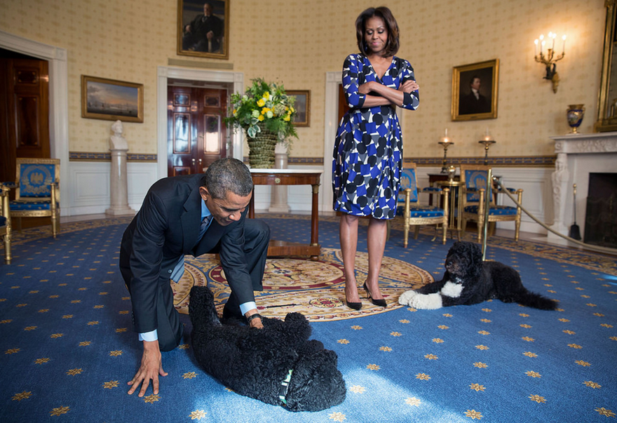Hai chú chó tên Sunny và Bo của gia đình cựu Tổng thống Barack Obama
