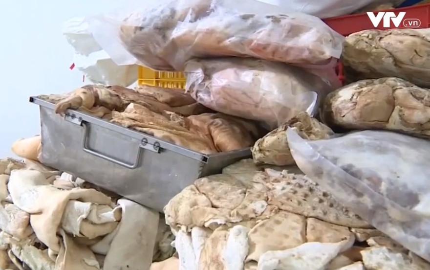 Ít ai hình dung những chiếc xúc xích thơm ngon, lại làm từ những nguyên liệu quá hạn sử dụng tại cơ sở ở Thái Bình (ảnh từ Clip VTV)