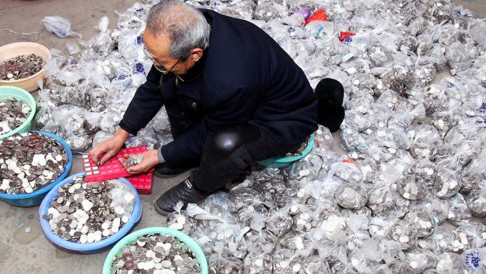 Ông Trương bên đống tiền lẻ nặng 1,8 tấn