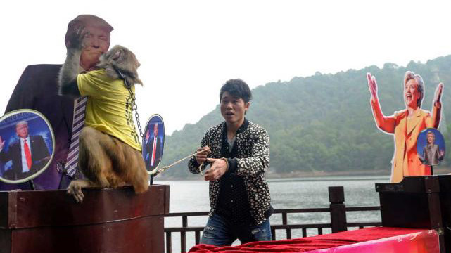 Chú khỉ nhảy tới ôm hôn tấm bìa cứng có dán ảnh ứng viên Tổng thống Mỹ Donald Trump