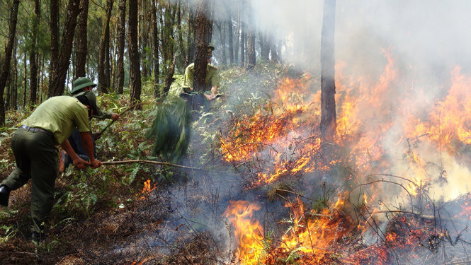 Nắng nóng gay gắt và hanh khô diễn ra trên diện rộng, nguy cơ cháy rừng rất cao tại nhiều địa phương