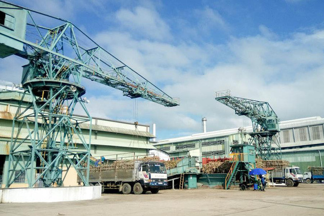 Từ 25/4, tăng giá mua điện sinh khối lên 1.634 đồng/kWh